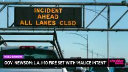Gov. Newsom Says Los Angeles Fire Set With 'Malice Intent' News Clip