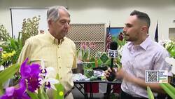 Garden Guide: Three tips for perfect Orchids News Clip