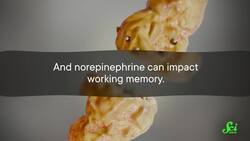 What's Really Behind The Adderall Shortage? Instructional Video