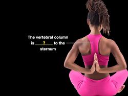 Anterior and Posterior Instructional Video