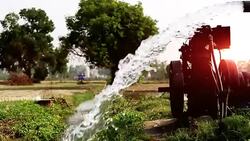Watering in the field Stock Footage