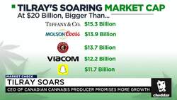 How High Can Pot Stocks Go? News Clip
