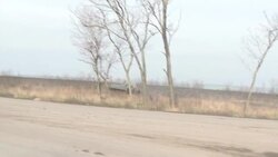 CLEAN : "Our morale is extremely positive": Ukrainian soldier fighting in Donbas News Clip