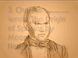 Evolution Quiz Instructional Video