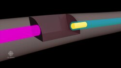 Neuroscientists describe process of repairing spinal cord injury in monkey News Clip