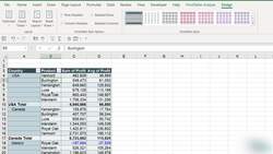 Microsoft Excel 2021365 - Beginner to Advanced - Sorting Using Custom Lists Instructional Video