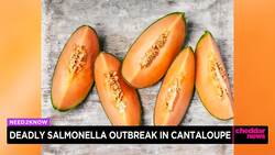 Deadly Salmonella Outbreak in Cantaloupe News Clip
