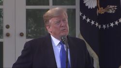 Trump plans to spend $8B on border barriers Instructional Video