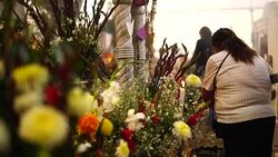 Cementery at San Andres Mixquic Stock Footage