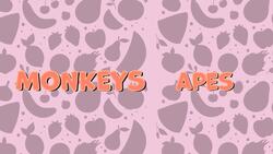 I WONDER - What Is The Difference Between A Monkey And An Ape? Instructional Video