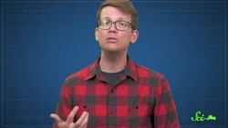 How Birds Got (And Kept) Their Beaks Instructional Video