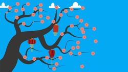 Chinese Lesson | Chinese Dynasties Instructional Video