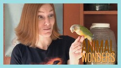 Ask Jessi 7! Instructional Video