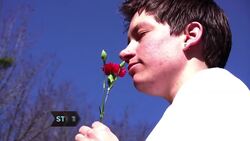 How to Dry Flowers Instructional Video