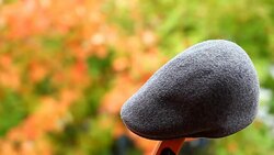 Grey Wool English Mans Cap autumn garden hd footage Stock Footage