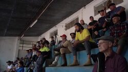 VOICED : ONG sale al rescate de caballos en Uruguay para evitarles el matadero News Clip