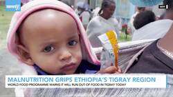UN: 100K Children In Ethiopia's Tigray Region Face Deadly Malnutrition News Clip