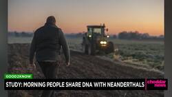 Study: Morning People Share DNA With Neanderthals News Clip