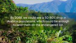 The Many Functions of Fungi | Compilation Instructional Video