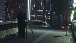 Police on Westminster Bridge after man jumps News Clip