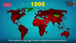 Contagion: mapping the eradication of disease Instructional Video
