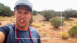 What is the Difference Between a Legless Lizard and a Snake? Instructional Video