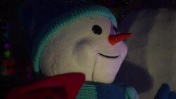 Man treats his neighbours to a dazzling Chistmas Instructional Video