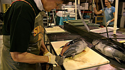 Thriving Tides - The Success Story of a Sustainable Albacore Tuna Micro-Cannery Instructional Video