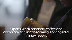 Fairtrade pop-up in Shoreditch highlights risk of 'endangered' everyday essentials News Clip