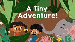 A Tiny Adventure Instructional Video