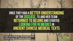 How an Ancient Remedy Became a Modern Cure for Malaria Instructional Video