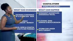 Brisk temperatures in the 40s with a lingering breeze in Brooklyn News Clip