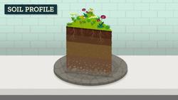What is Soil (and Why is it Important)?: Crash Course Geography Instructional Video