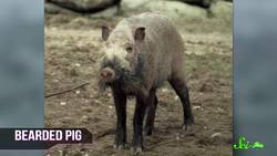 World's Most Asked Questions Ten of YOUR Most Asked Questions! Instructional Video