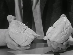 1965: Model of human brain Instructional Video