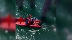 Bus carrying passengers plunges into Russia's Black Sea News Clip