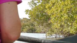 Everglades National Park - Everglades Gulf Coast Instructional Video