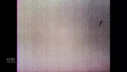 Japanese Canadian seniors reflect on being forced into WWII internment camps News Clip