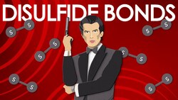 Disulfide bonds Instructional Video