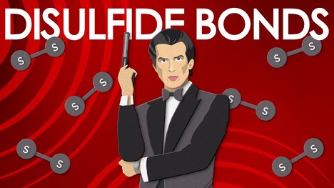 Disulfide bonds