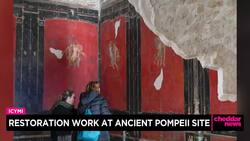 Restoration Work at Ancient Pompeii Site News Clip