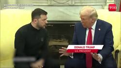 'Sorry, I’m Not Wearing A Suit': Zelensky's Quips After White House Humiliation By Trump | Watch News Clip