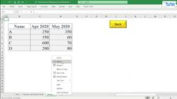 Renaming and Deleting an Excel Worksheet Instructional Video