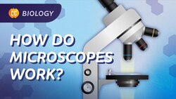 Microscopes: How We See What We Can't See: Crash Course Biology #22 Instructional Video