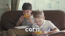 Summertime Foods! Learn the Names of Summer Food for Kids Instructional Video