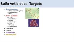 Sulfonamide Antibiotics | Bacterial Targets, Mechanism of Action, Adverse Effects Instructional Video