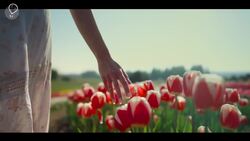 Discover Turkey’s Most Iconic Products Instructional Video