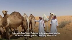 VOICED : Cuando el aumento de la temperatura se hace insoportable News Clip