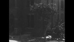 Knoxville, TN after race riots News Clip