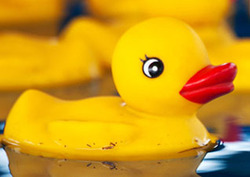 Buoyancy: Upward Force from Surrounding Fluid Instructional Video